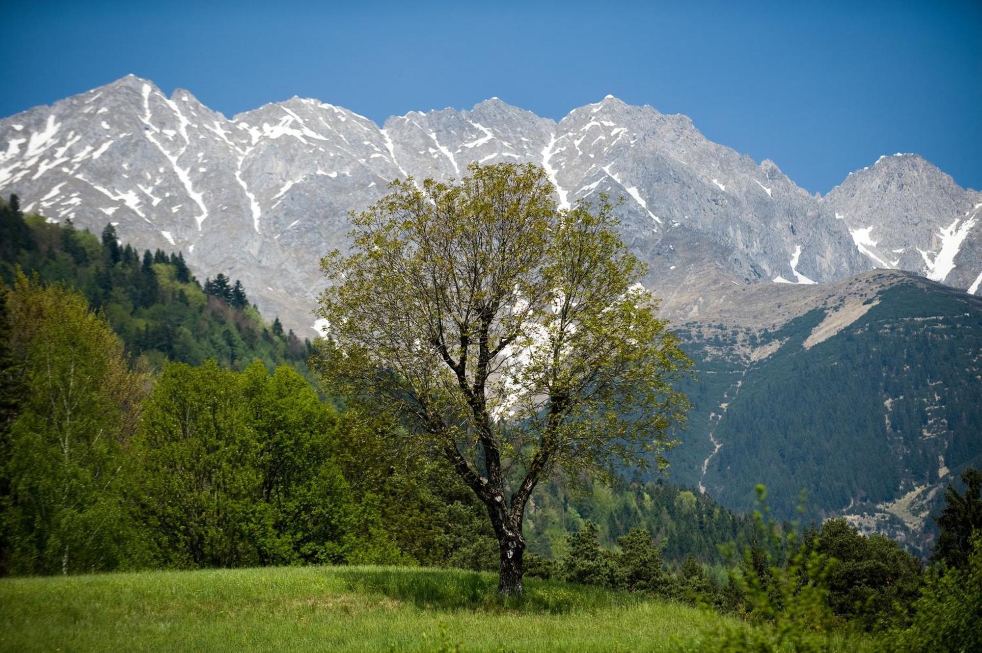 Kasperhof Apartments Innsbruck Top 6 - 7 Eksteriør bilde