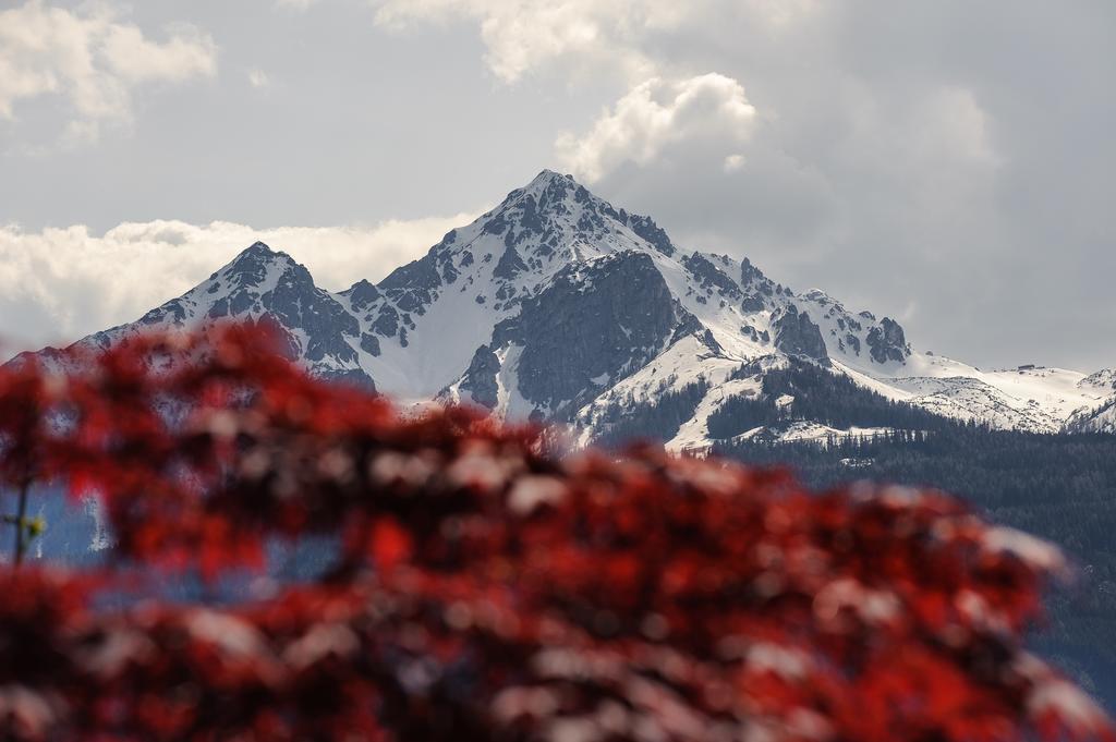 Kasperhof Apartments Innsbruck Top 6 - 7 Eksteriør bilde